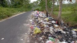 Sampah Berserakan Di Jalan Tembus Desa Kedungrejo Ke Desa Mondoteko