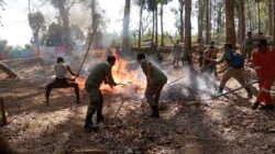 Perhutani Mantingan Gelar Simulasi Kebakaran Hutan Dan Lahan