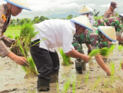 Bupati Rembang Ingatkan Petani Waspadai Cuaca Ekstrem pada Musim Tanam I