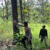 Perum Perhutani KPH Gundih Bersama Pabin Jagawana Lakukan Patroli Tekan Gukamhut Dan Kahutla