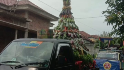 Sedekah Bumi Desa Koripandriyo Terkesan Mewah Serta Penuh Kemeriahan