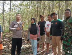 Tim Evakuasi Terpadu Temukan Wanita Asal Tembalang Yang Tersesat Dalam Hutan BKPH Padas KPH Semarang