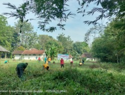 Perum Perhutani KPH Telawa Optimalisasi Aset Perusahaan Adakan Gerakan Penanaman Bersama Karyawan – Karyawati Perhutani