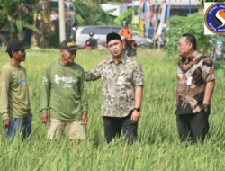 Masyarakat Desa Sukorejo – Tegowanu Mendapatkan Bantuan Benih Padi 13.625 kg Dari Kementerian Pertanian Untuk 545 Ha Sawah