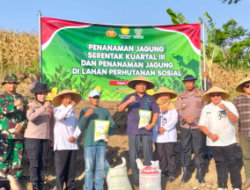 Wujudkan Program Swasembada Pangan Nasional Polri-TNI -Pemkab & Perum Perhutani Tanam Jagung Serentak Bersama Kapolri