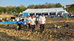 Perhutani KPH Telawa Ikut Dalam Penanaman Jagung di Grobogan