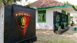 Karyawan Perhutani Rela Perbaiki Rumah Dinas, Bahkan Swadaya Semua Bidang Pekerjaan