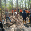 *KPH Telawa Gelar Pelatihan Tebang Penjarangan (TE) Pada Segenap Jajaran Bidang Produksi Kayu