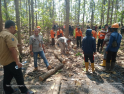 *KPH Telawa Gelar Pelatihan Tebang Penjarangan (TE) Pada Segenap Jajaran Bidang Produksi Kayu