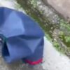 Tas Belanja Berisi Bayi Hidup Hebohkan Warga Pati