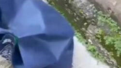Tas Belanja Berisi Bayi Hidup Hebohkan Warga Pati